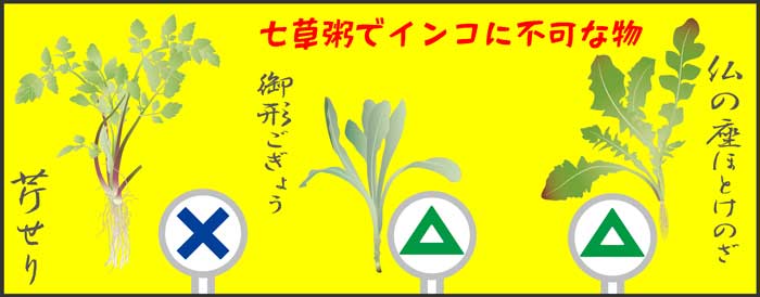 04-七草粥でインコに不可な物-656985-春の七草