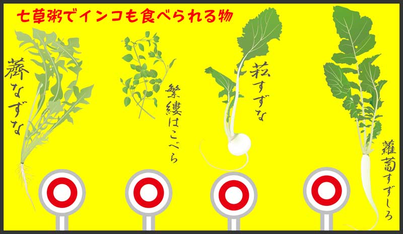 05-七草粥でインコも食べられる物-656985-春の七草