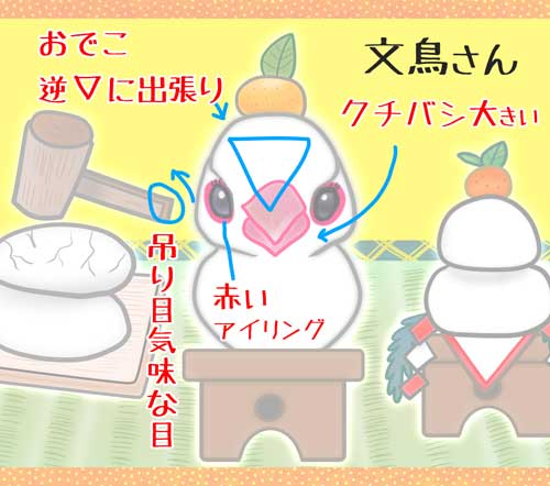 06-鏡餅の文鳥さん-赤ペン