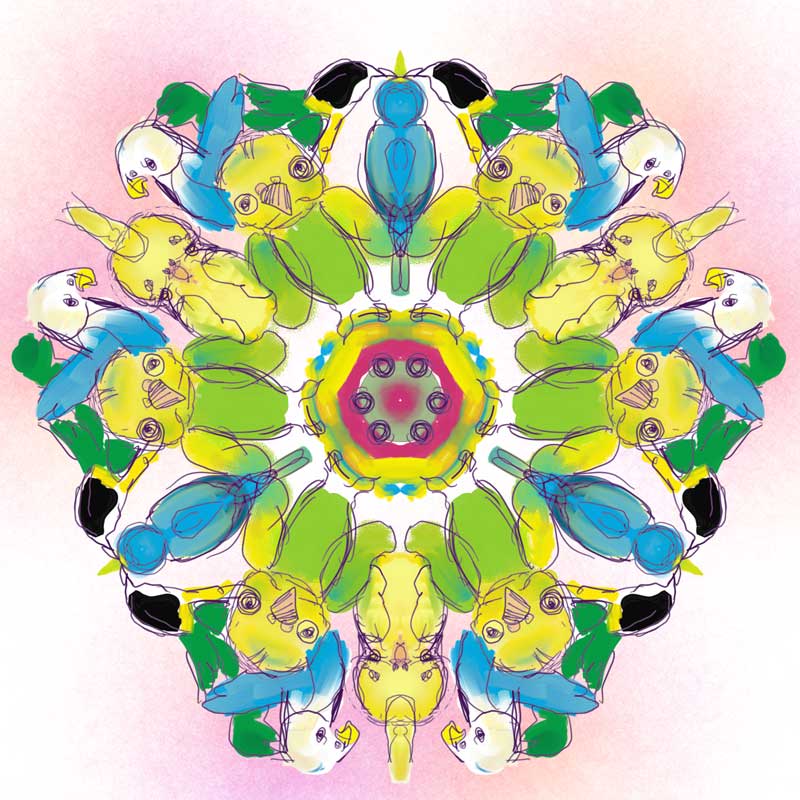 インコの万華鏡のシンプル